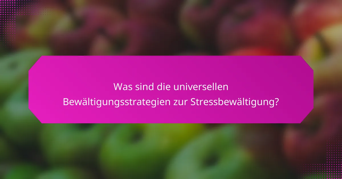 Was sind die universellen Bewältigungsstrategien zur Stressbewältigung?