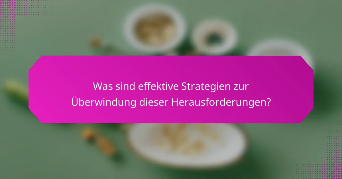 Was sind effektive Strategien zur Überwindung dieser Herausforderungen?