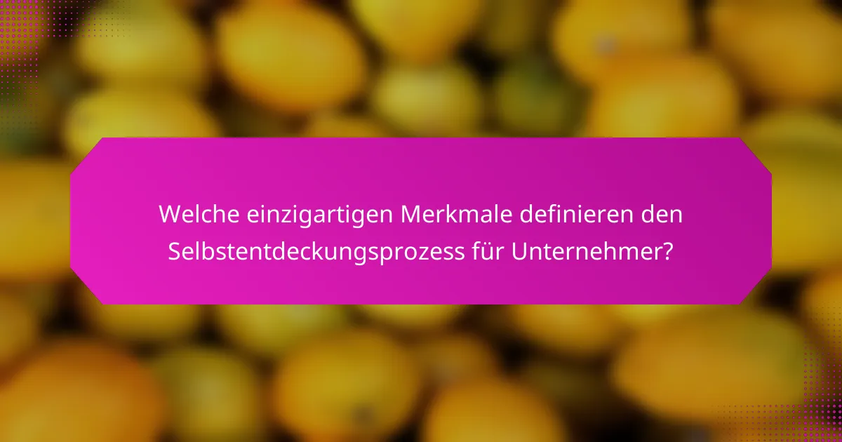 Welche einzigartigen Merkmale definieren den Selbstentdeckungsprozess für Unternehmer?
