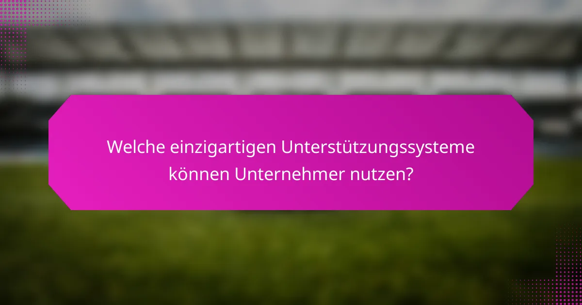 Welche einzigartigen Unterstützungssysteme können Unternehmer nutzen?