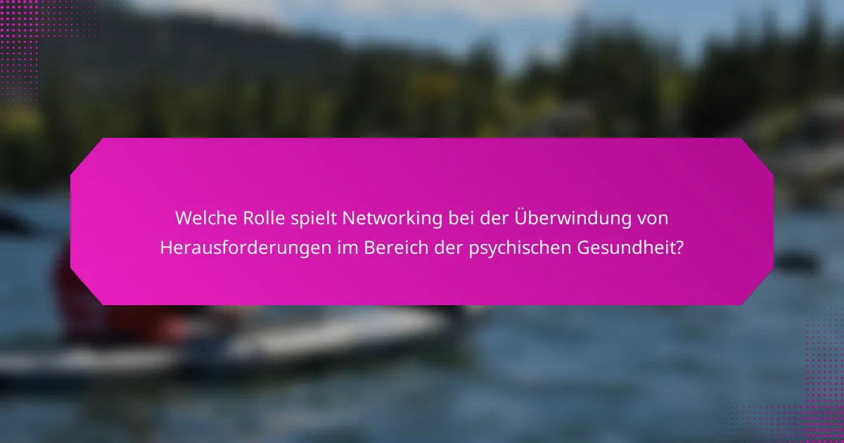 Welche Rolle spielt Networking bei der Überwindung von Herausforderungen im Bereich der psychischen Gesundheit?