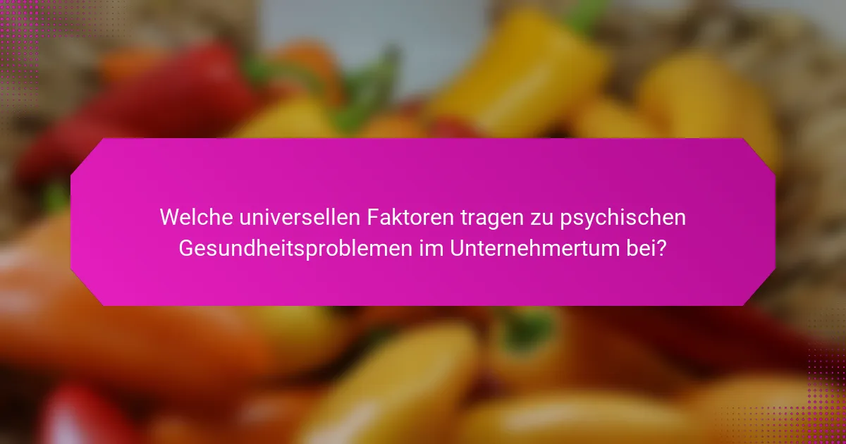 Welche universellen Faktoren tragen zu psychischen Gesundheitsproblemen im Unternehmertum bei?