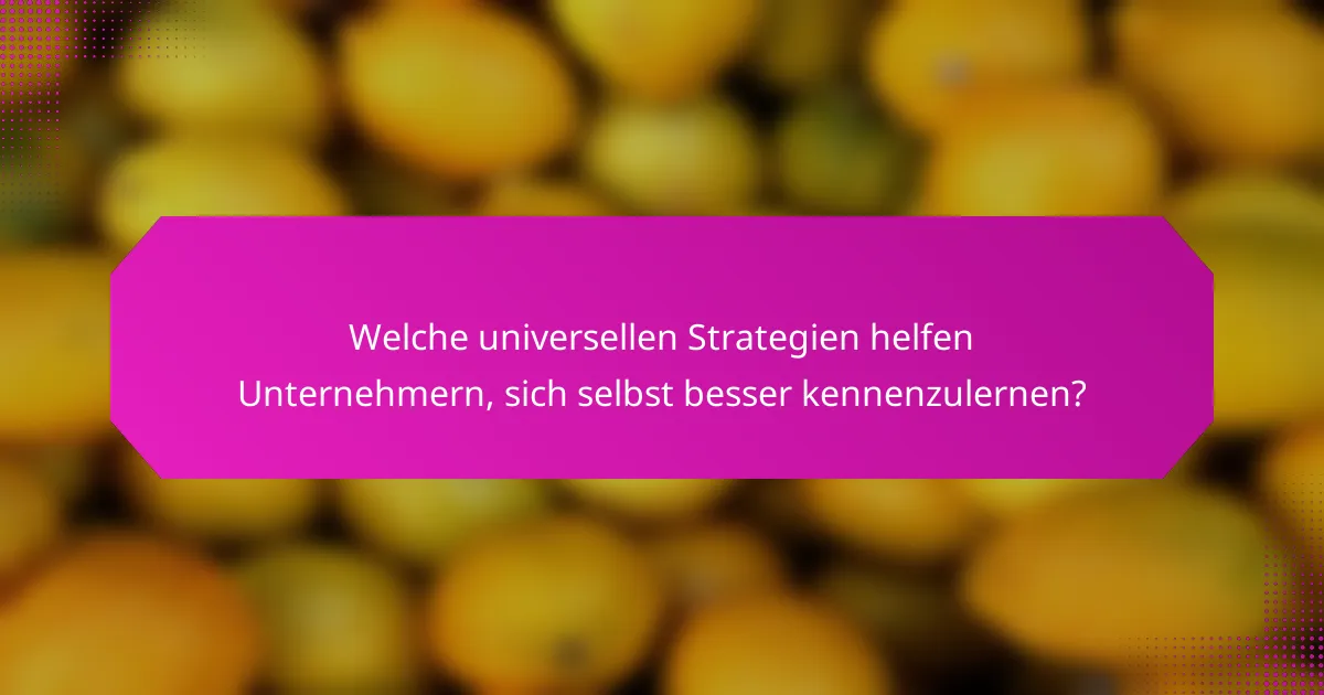 Welche universellen Strategien helfen Unternehmern, sich selbst besser kennenzulernen?